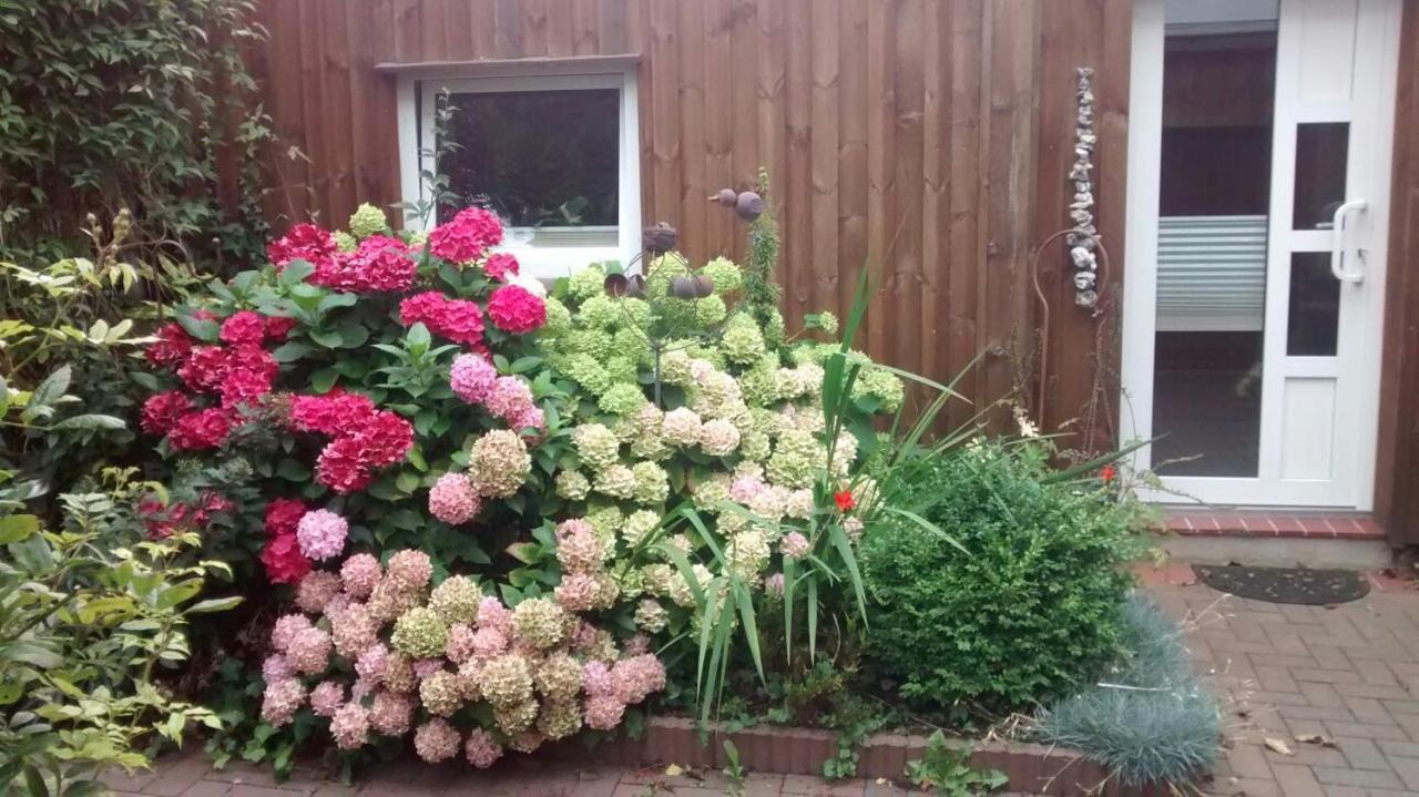 1 Raum Appartement Mit Kuechenzeile In Kappeln Exterior foto